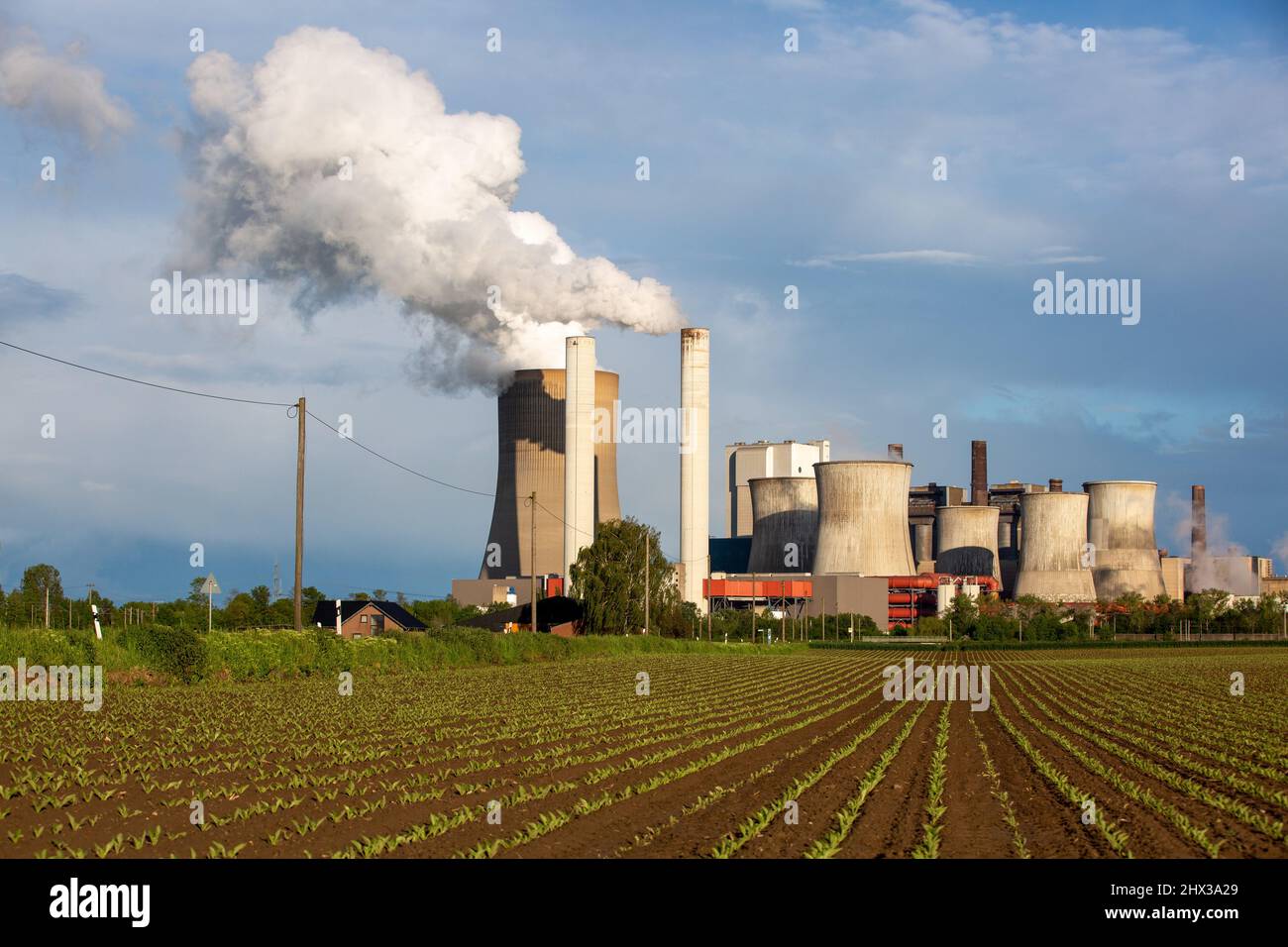 Rwe lignite fired power hi-res stock photography and images - Alamy
