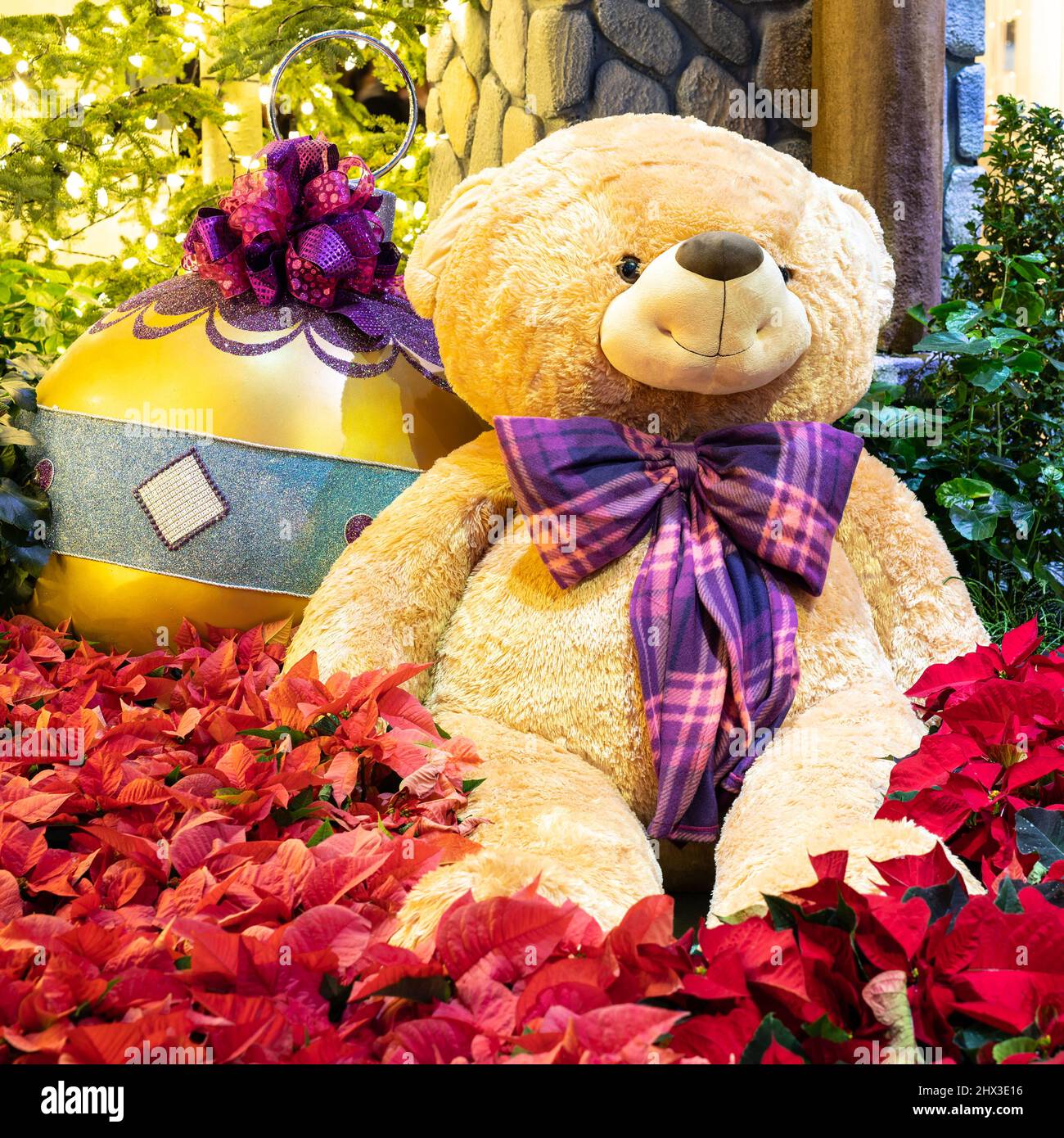 Las Vegas, NV - Dec 12, 2021: This large teddy bear and giant Christmas ball amid red poinsettias is part of the 'Holiday Time' display at the Bellagi Stock Photo