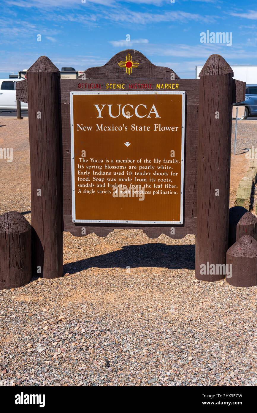 Official scenic historical marker for the New Mexico State Flower Yucca Stock Photo