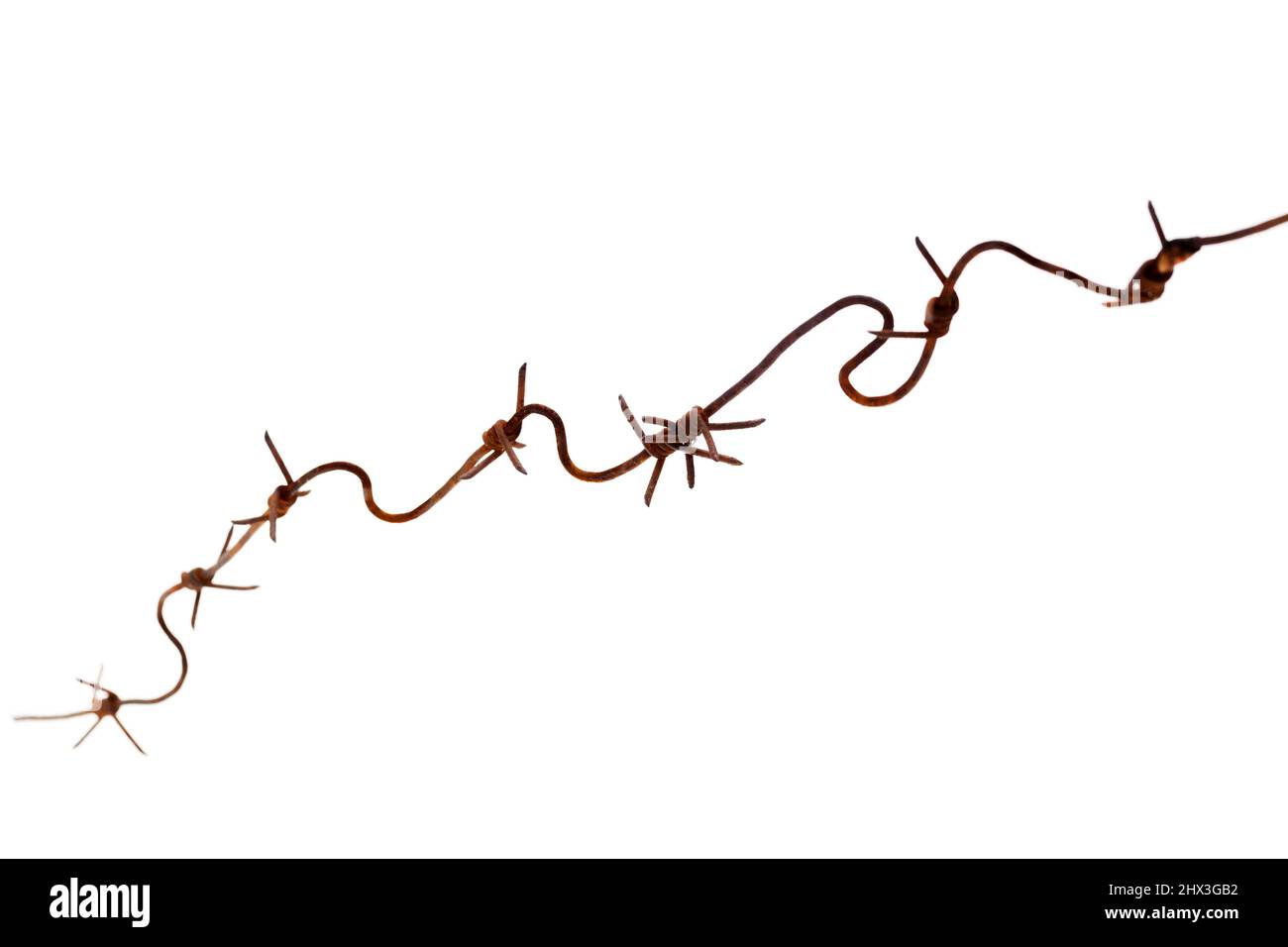 Rusty barbed wire isolated on white background, abstract photo Stock Photo