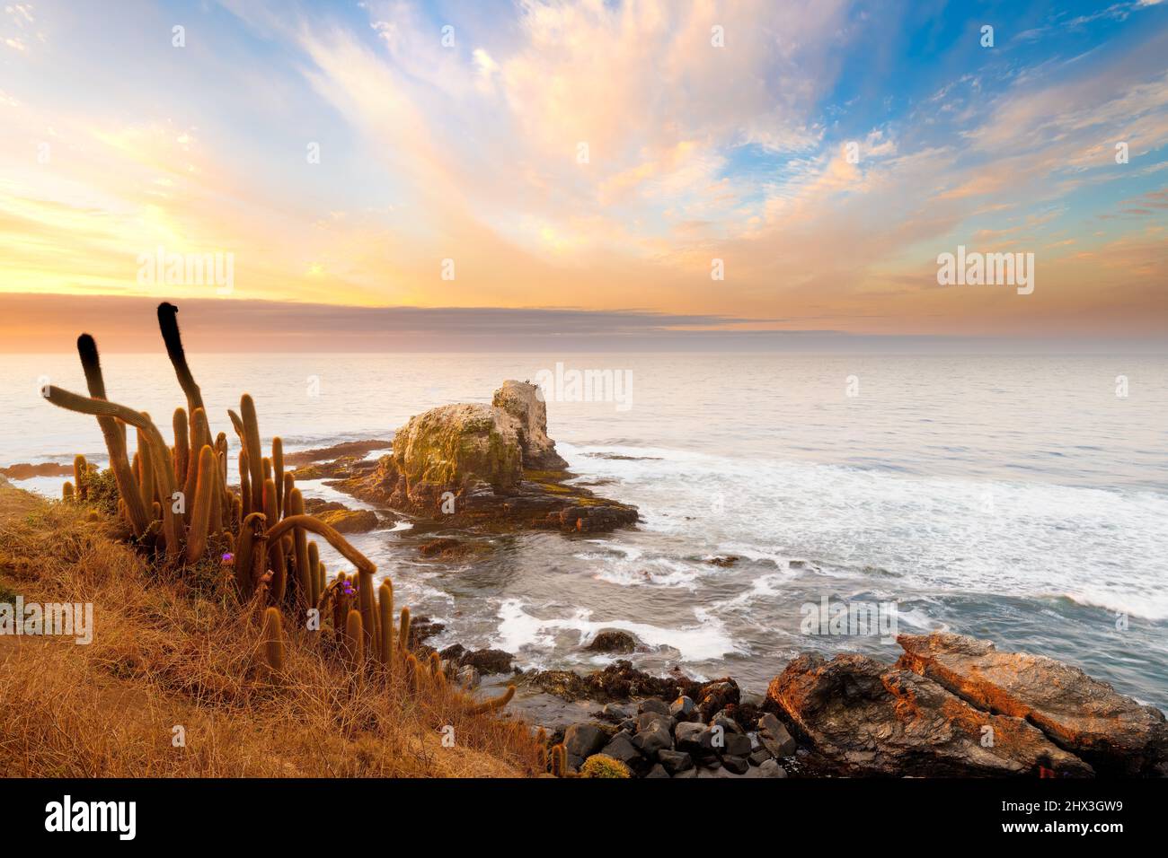 Cliff in Punta de Lobos at Pichilemu, VI Region, Chile Stock Photo