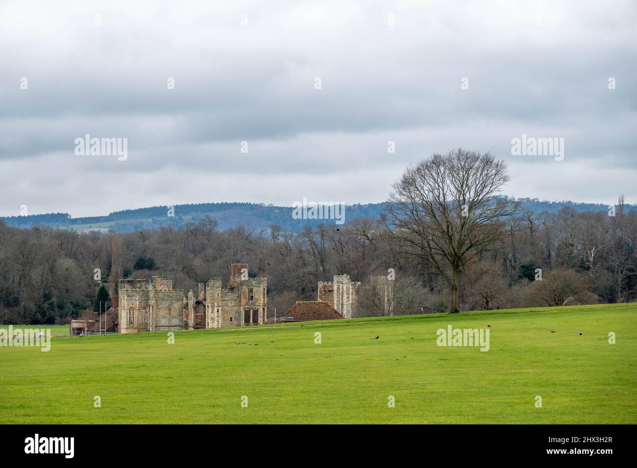 Cowdray castle hi-res stock photography and images - Alamy