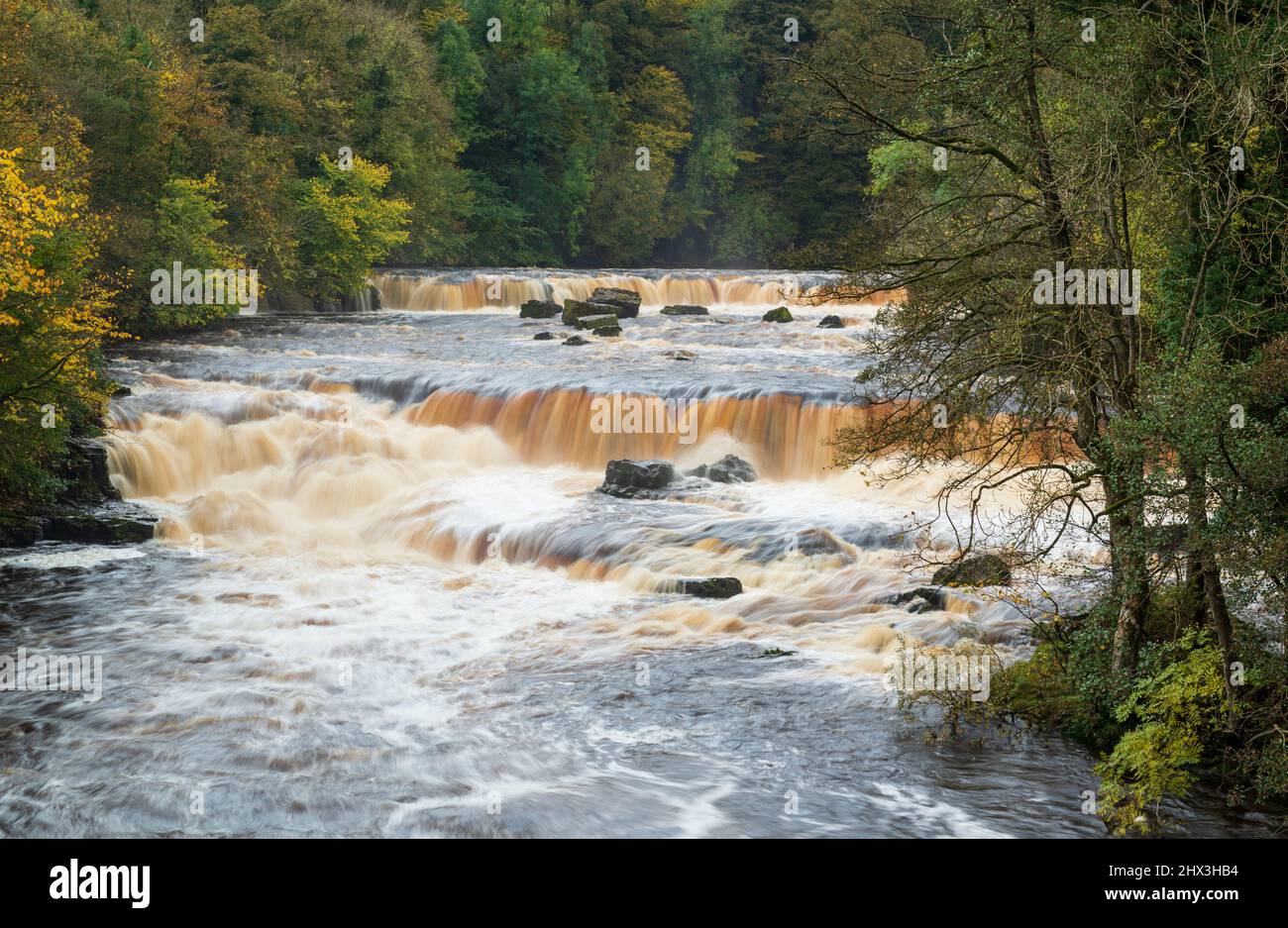 Aysgarth Upper Falls on the River Ure in Wensleydale, Yorkshire Dales National Park Stock Photo