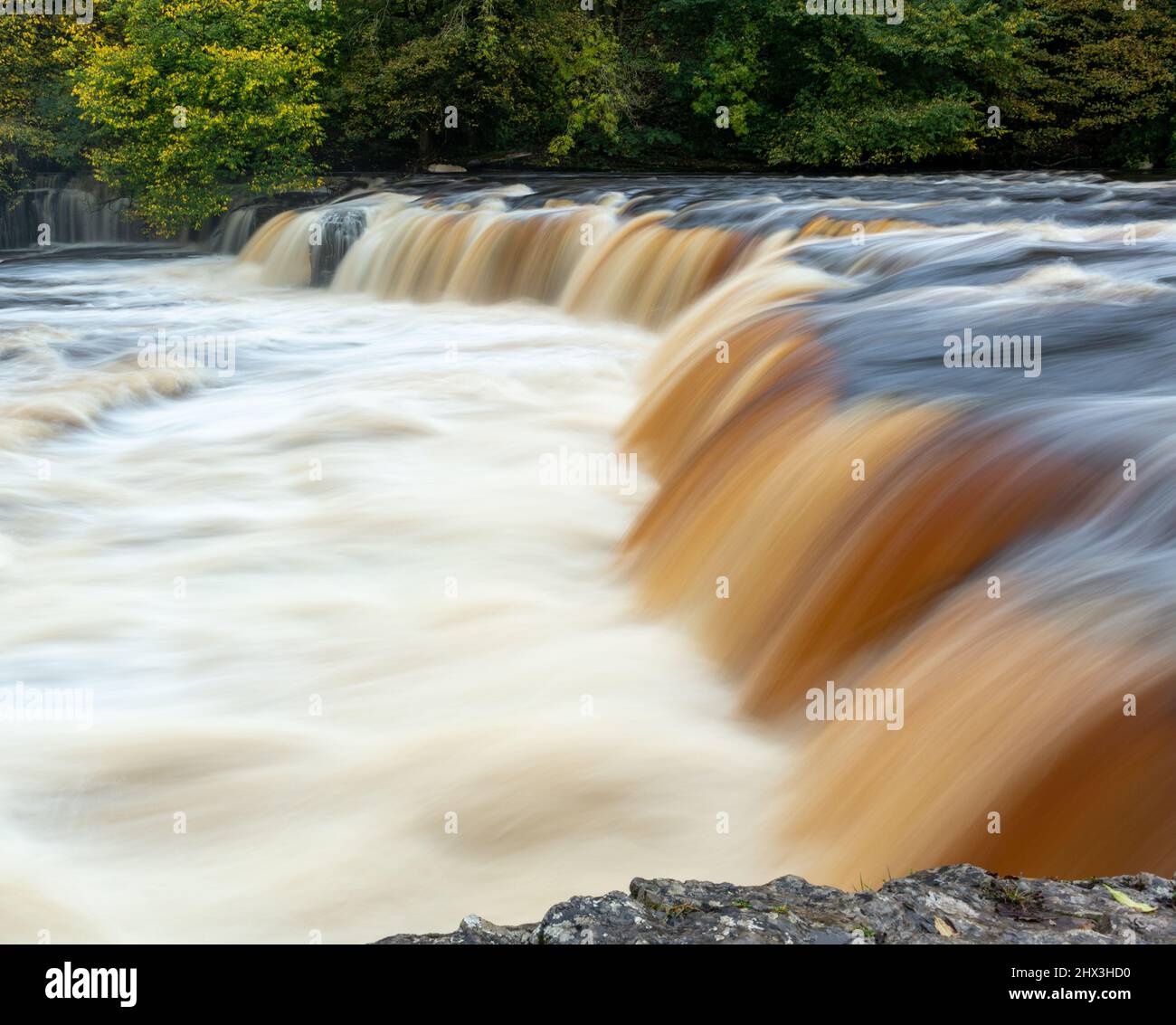 Aysgarth Upper Falls on the River Ure in Wensleydale, Yorkshire Dales National Park Stock Photo