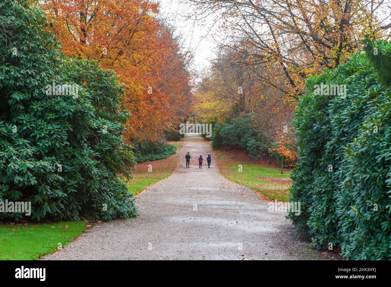 Three people walking down the Broad Walk, a long straight path in the gardens at Tatton Park near Knutsford in Cheshire Stock Photo