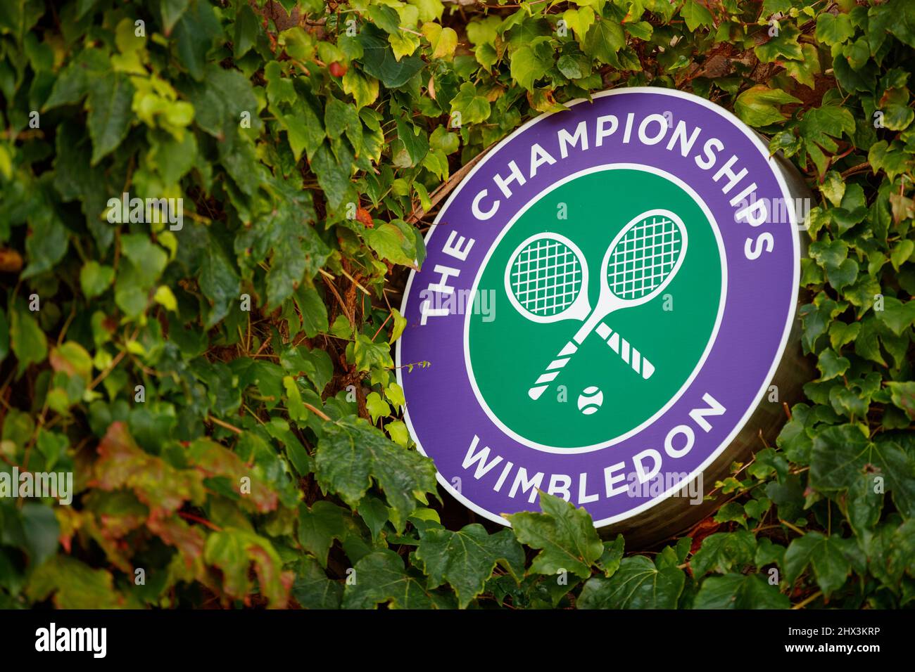 The Championships logo at Wimbledon Stock Photo Alamy