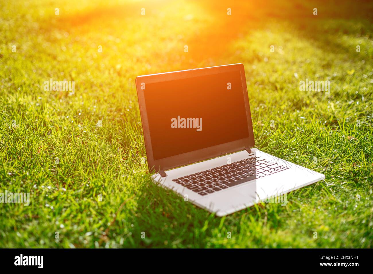 Laptop with blank screen on green lawn Stock Photo Alamy