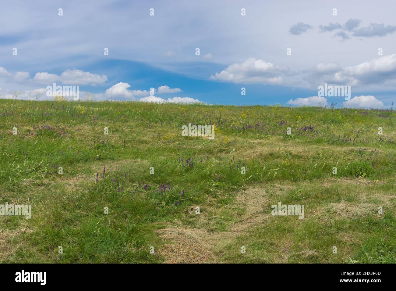Summer landscape with hilly meadow near Dnipro city in central Ukraine Stock Photo