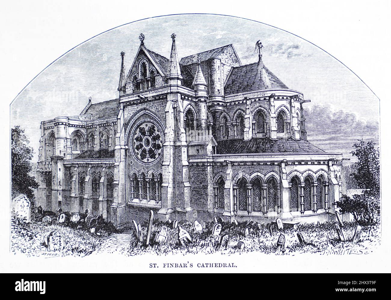 Saint Fin Barre's Cathedral Cork, Ireland in the 19th century before the towers and spires were completed in 1879; Black and White Illustration; Stock Photo