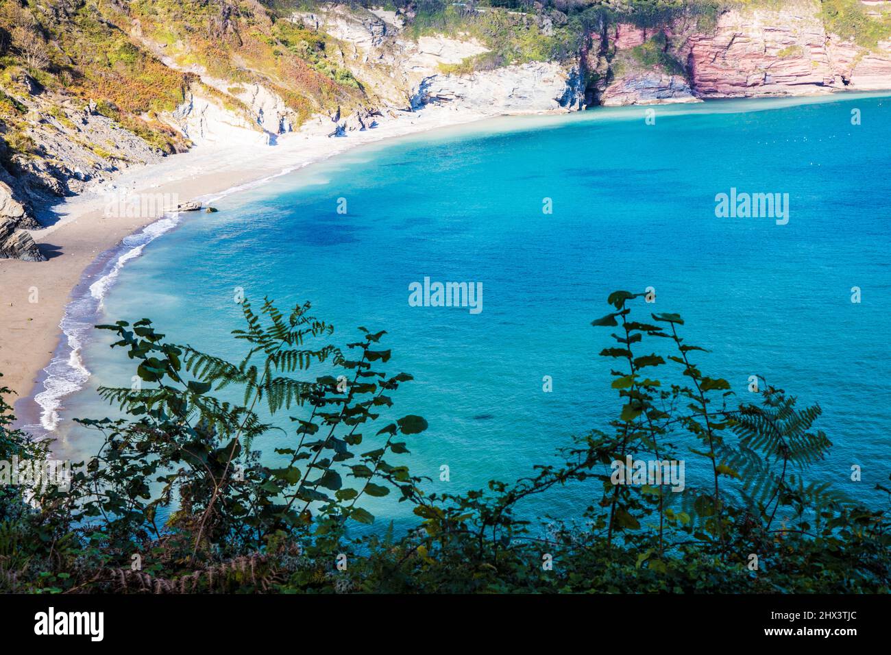 Autumnal view over St. Mary's Bay in Brixham, south Devon, taken from the South West Coast Path. Stock Photo