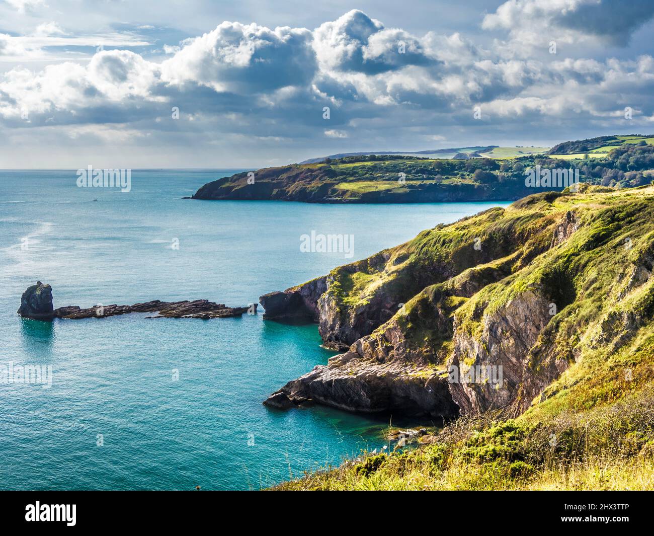 View from the South West Coast Path towards St. Mary's Bay and Sharkham Point near Brixham, Devon. Stock Photo