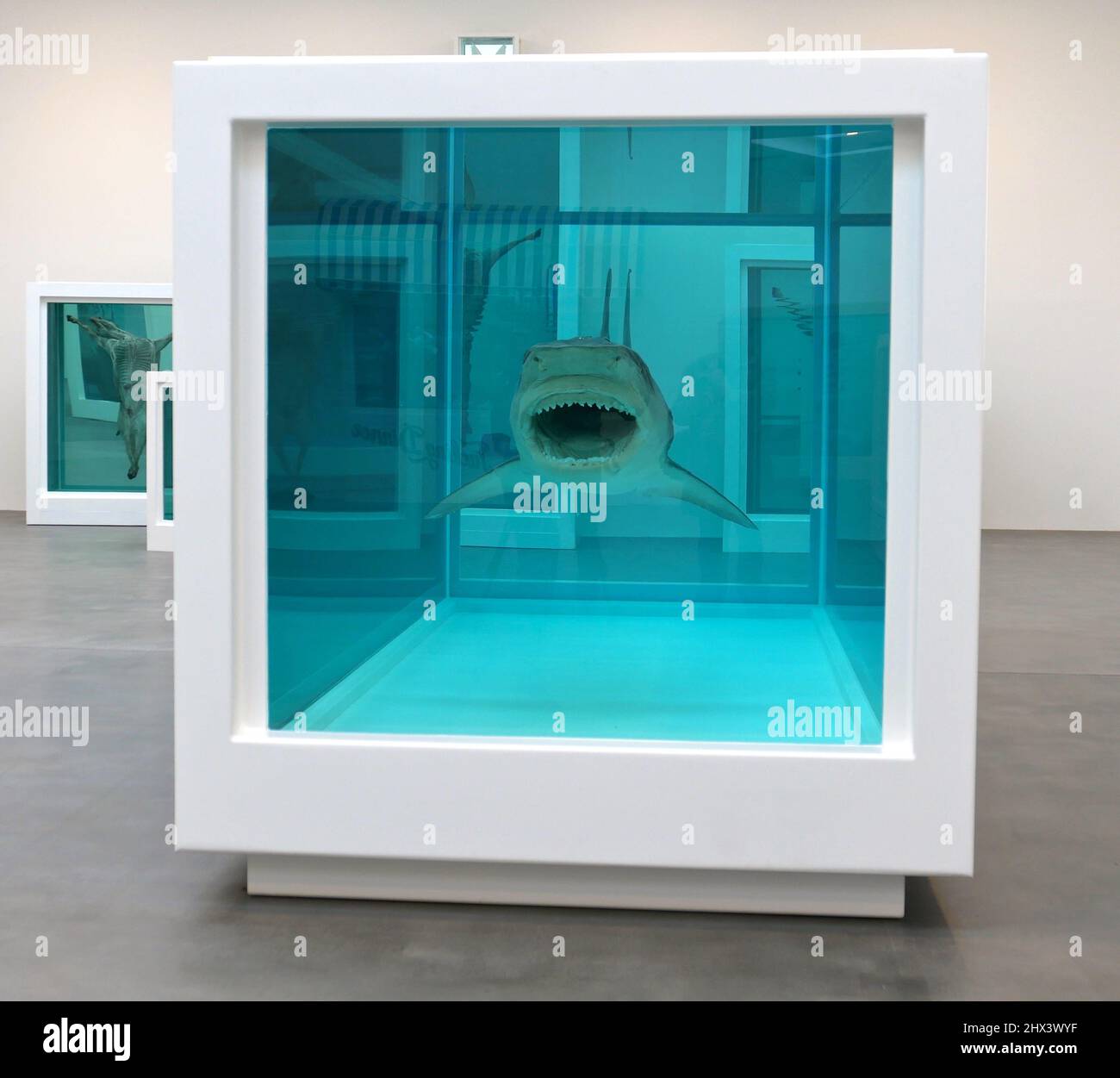 GAGOSIAN DAMIEN HIRST NATURAL HISTORY OPENING 10 MARCH 2022 . Damien ...