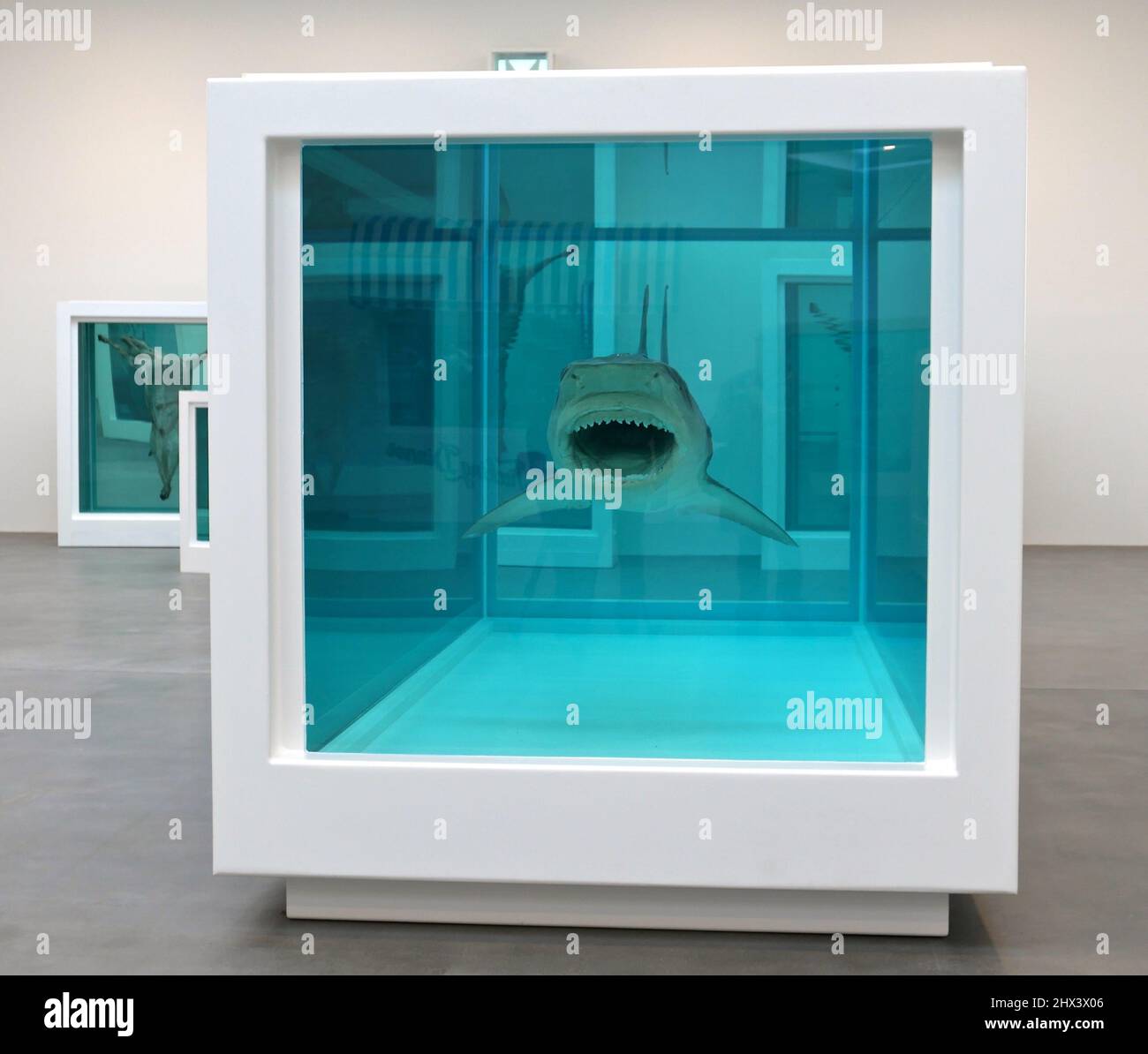 GAGOSIAN DAMIEN HIRST NATURAL HISTORY OPENING 10 MARCH 2022 . Damien ...
