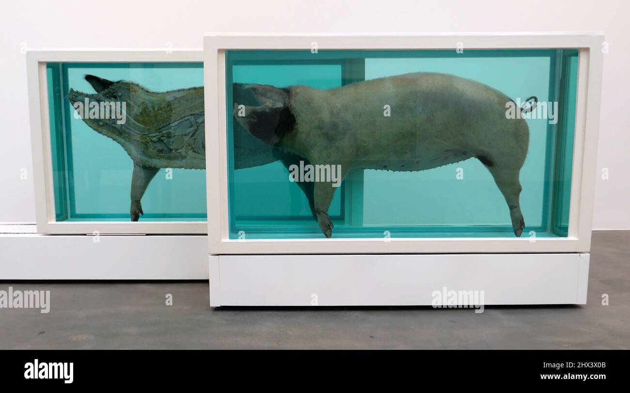 GAGOSIAN DAMIEN HIRST NATURAL HISTORY OPENING 10 MARCH 2022 . Damien ...