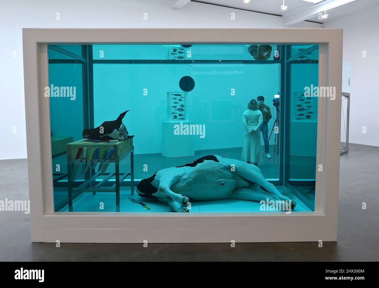 GAGOSIAN DAMIEN HIRST NATURAL HISTORY OPENING 10 MARCH 2022 . Damien ...