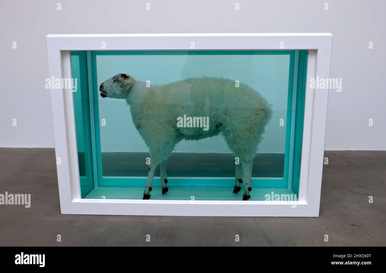 GAGOSIAN DAMIEN HIRST NATURAL HISTORY OPENING 10 MARCH 2022 . Damien ...