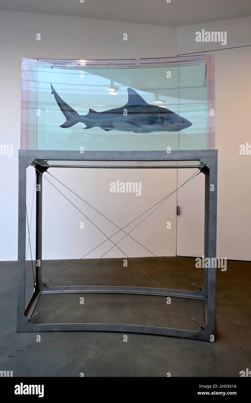 GAGOSIAN DAMIEN HIRST NATURAL HISTORY OPENING 10 MARCH 2022 . Damien ...