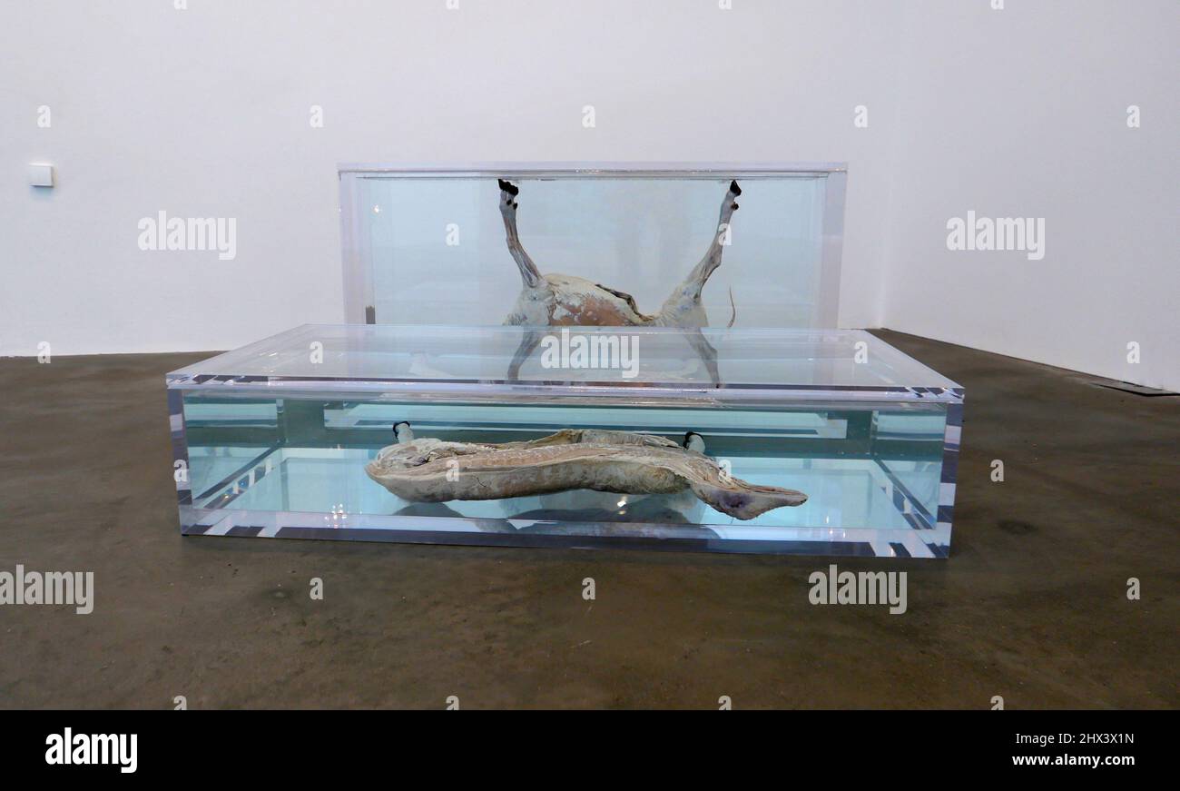 GAGOSIAN DAMIEN HIRST NATURAL HISTORY OPENING 10 MARCH 2022 . Damien ...