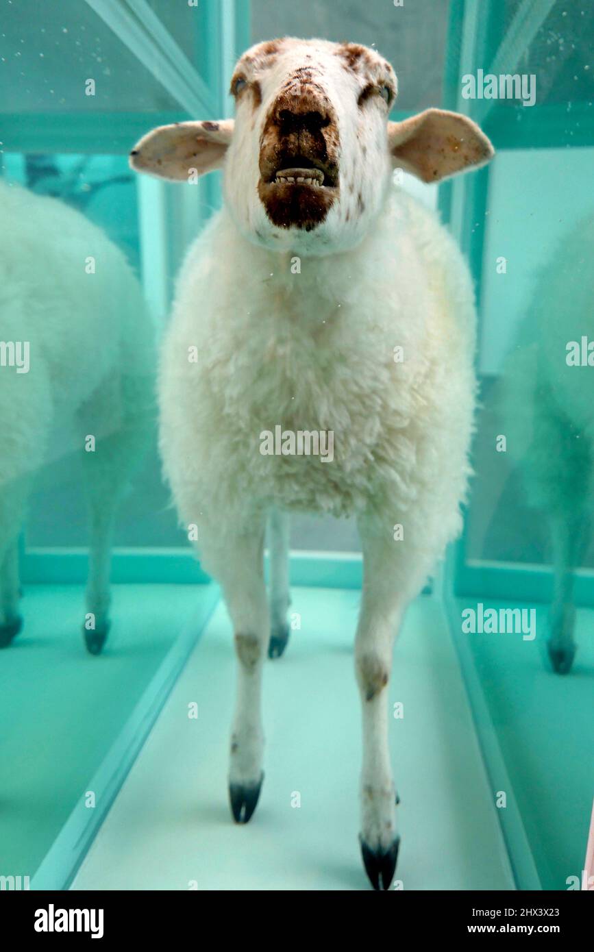 GAGOSIAN DAMIEN HIRST NATURAL HISTORY OPENING 10 MARCH 2022 . Damien ...