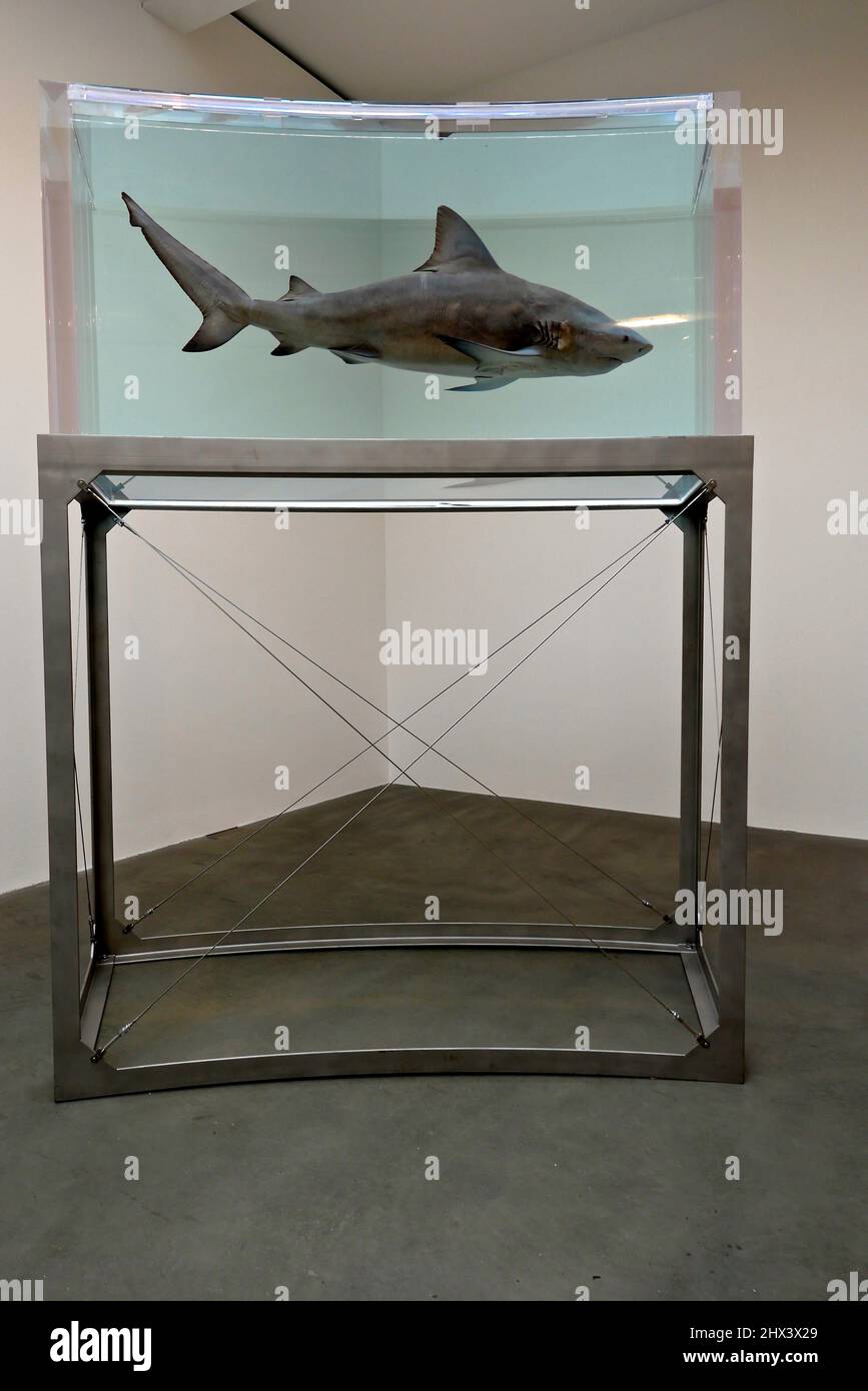 GAGOSIAN DAMIEN HIRST NATURAL HISTORY OPENING 10 MARCH 2022 . Damien ...