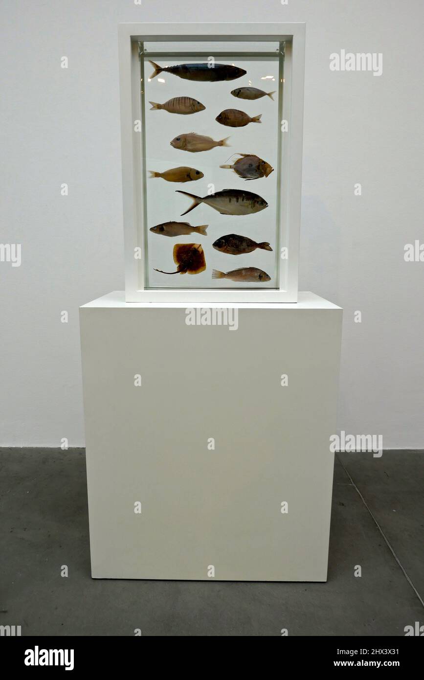 GAGOSIAN DAMIEN HIRST NATURAL HISTORY OPENING 10 MARCH 2022 . Damien ...