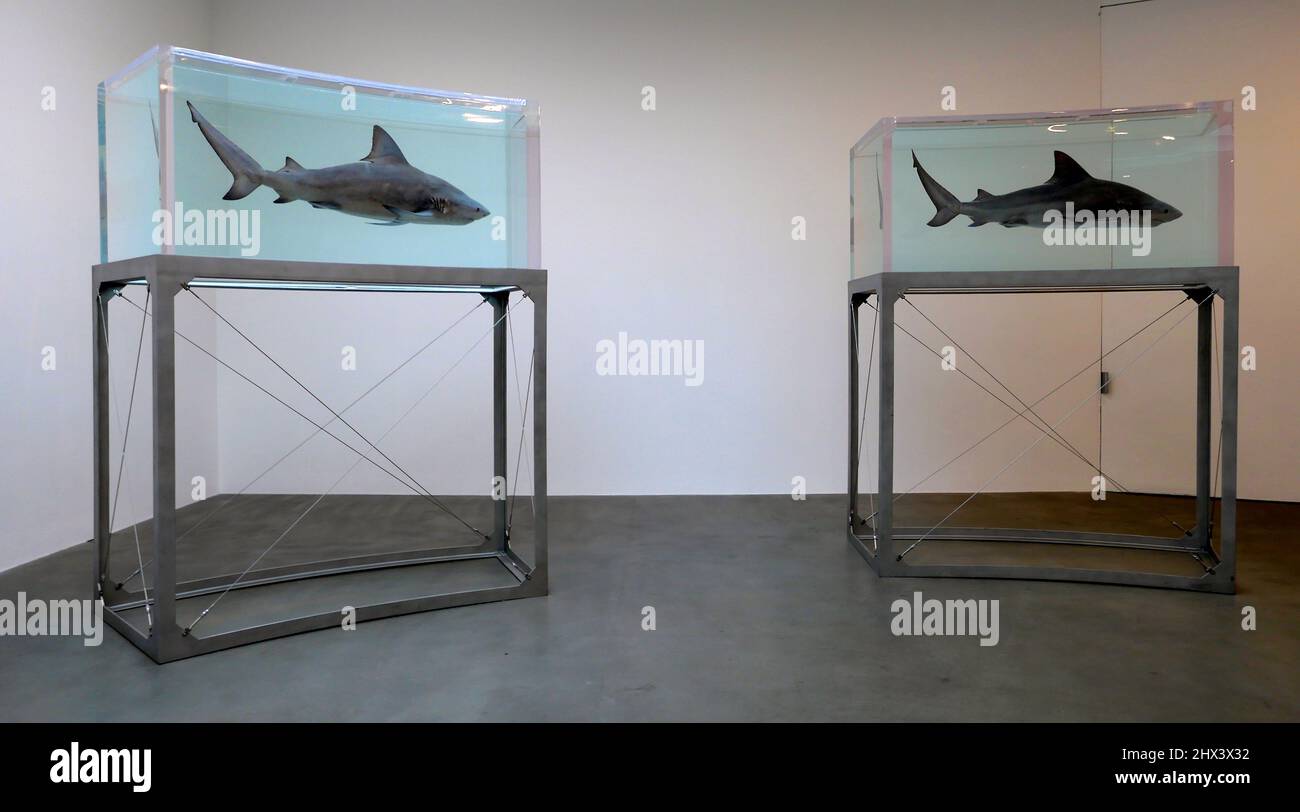GAGOSIAN DAMIEN HIRST NATURAL HISTORY OPENING 10 MARCH 2022 . Damien ...