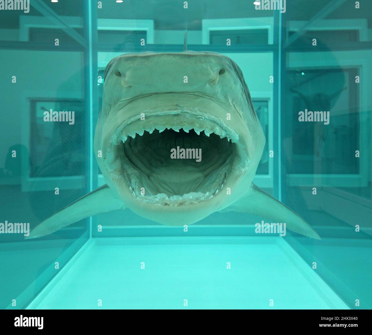 GAGOSIAN DAMIEN HIRST NATURAL HISTORY OPENING 10 MARCH 2022 . Damien ...