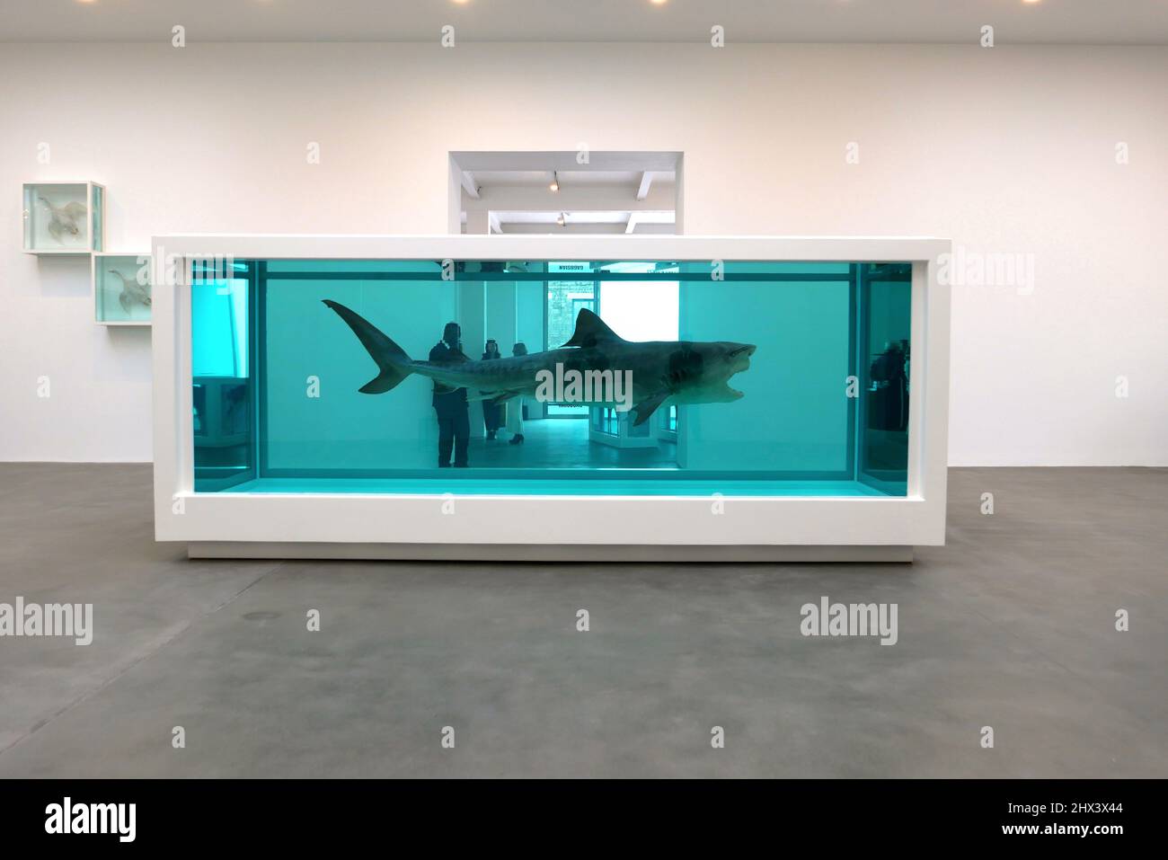 GAGOSIAN DAMIEN HIRST NATURAL HISTORY OPENING 10 MARCH 2022 . Damien ...