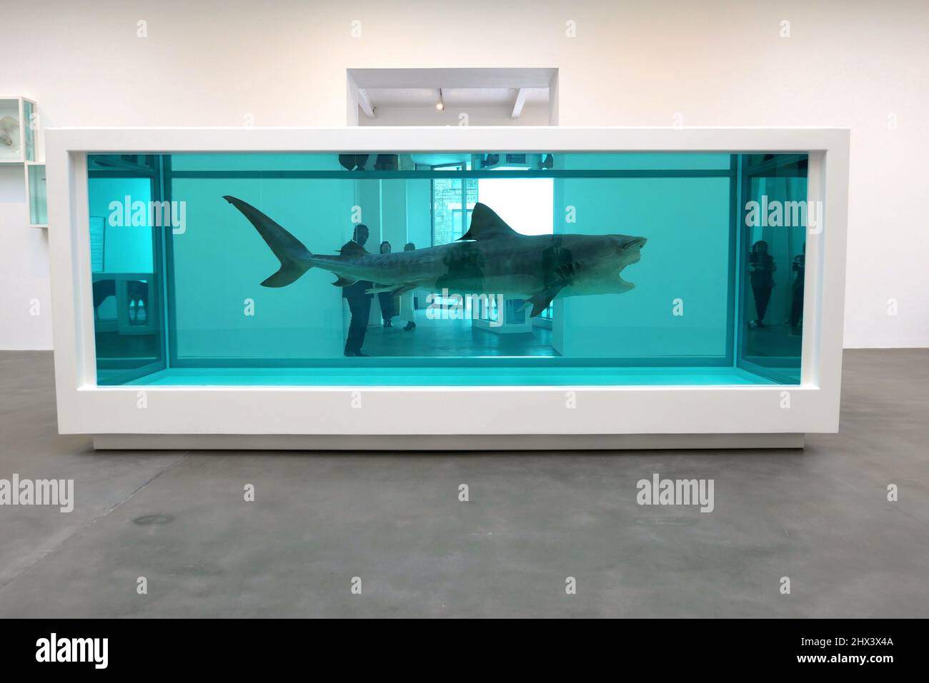 GAGOSIAN DAMIEN HIRST NATURAL HISTORY OPENING 10 MARCH 2022 . Damien ...