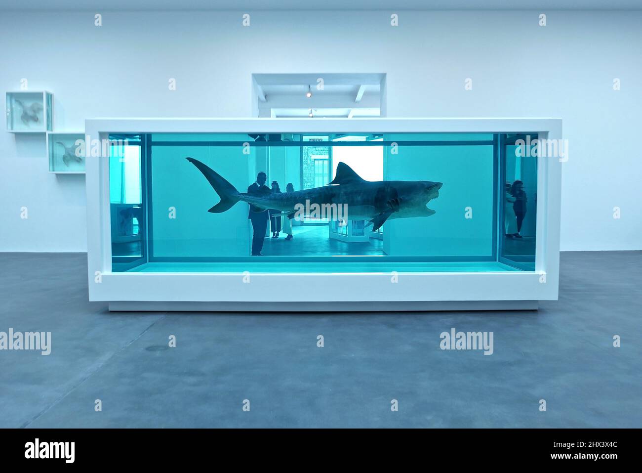 GAGOSIAN DAMIEN HIRST NATURAL HISTORY OPENING 10 MARCH 2022 . Damien ...