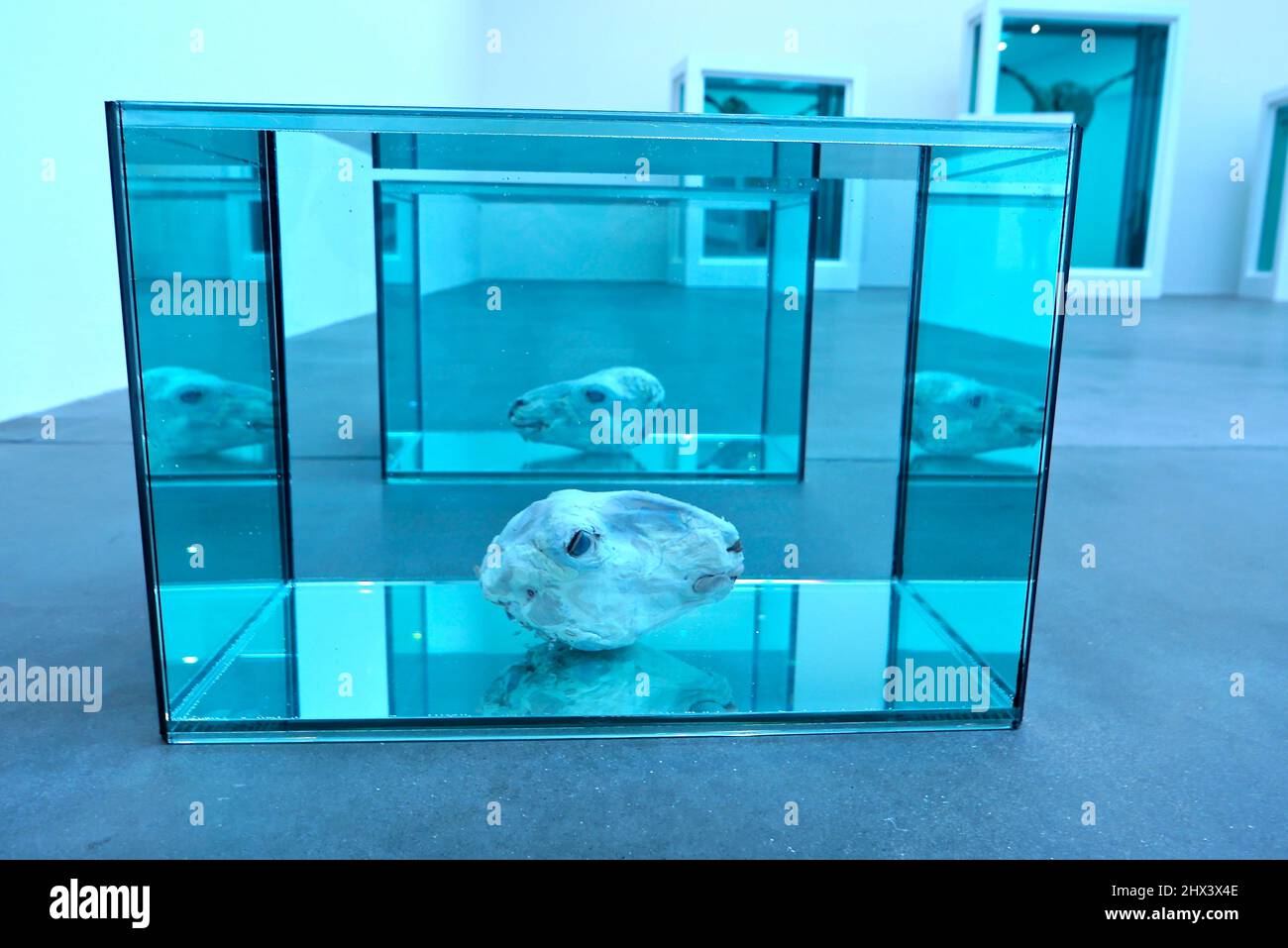 GAGOSIAN DAMIEN HIRST NATURAL HISTORY OPENING 10 MARCH 2022 . Damien ...