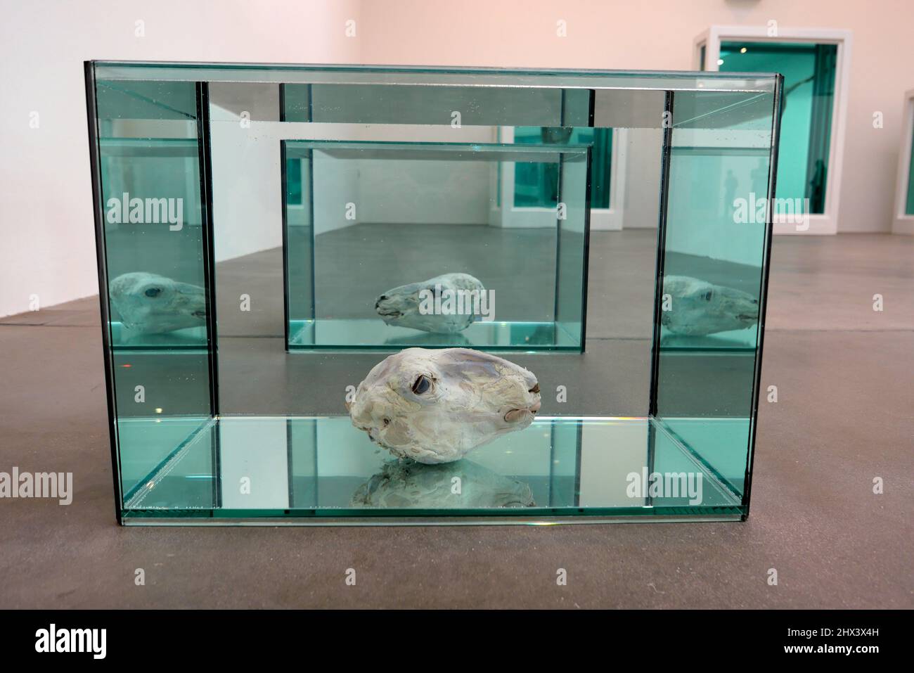 GAGOSIAN DAMIEN HIRST NATURAL HISTORY OPENING 10 MARCH 2022 . Damien ...