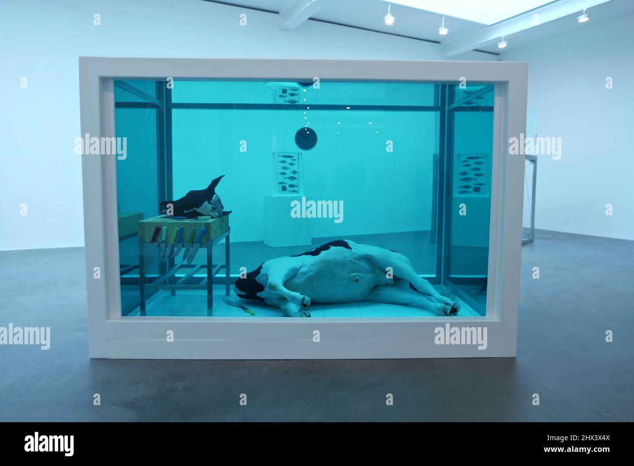 GAGOSIAN DAMIEN HIRST NATURAL HISTORY OPENING 10 MARCH 2022 . Damien ...