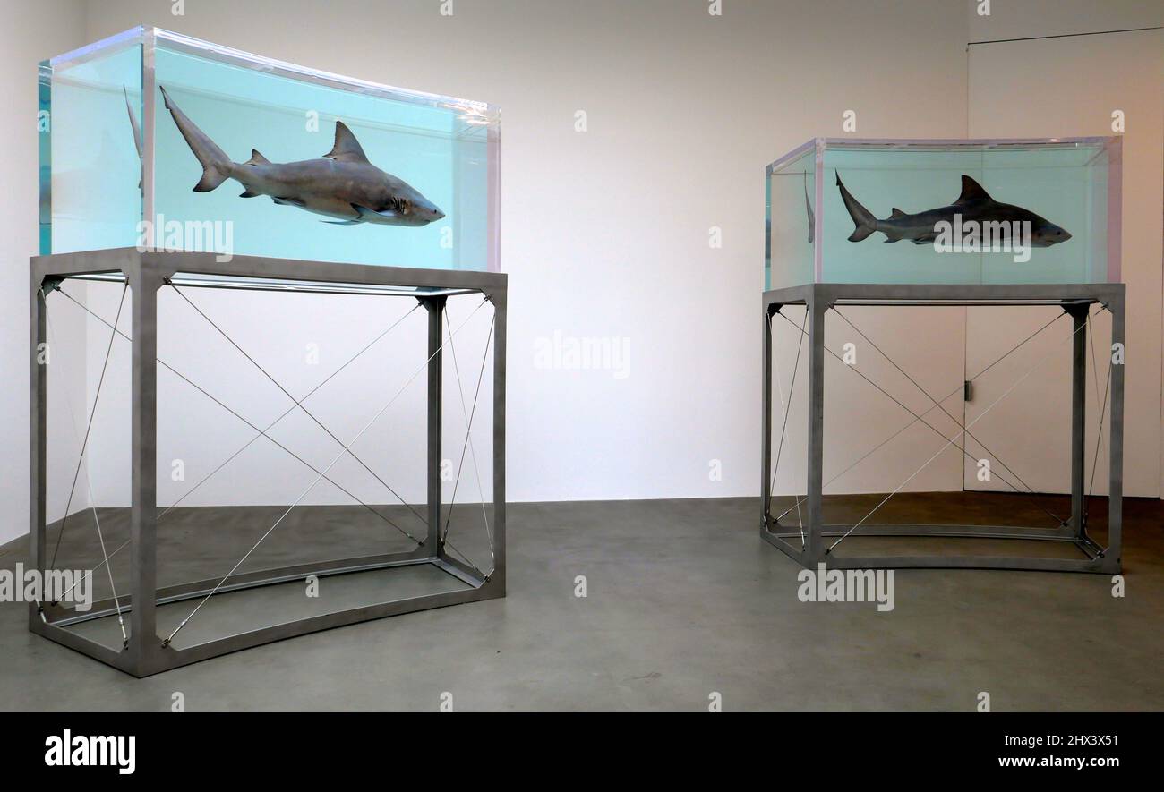 GAGOSIAN DAMIEN HIRST NATURAL HISTORY OPENING 10 MARCH 2022 . Damien ...
