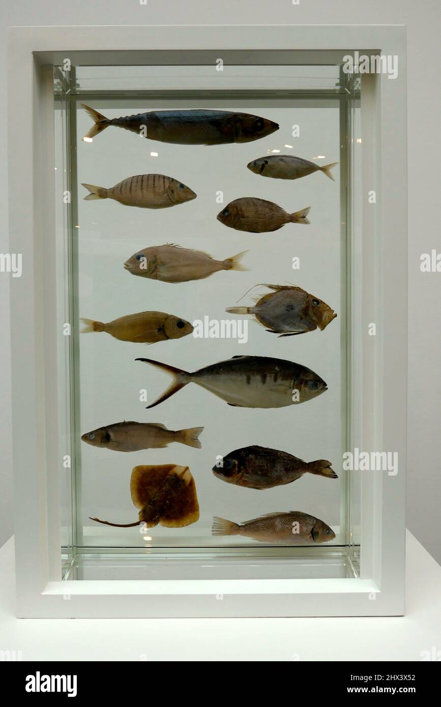 Damien hirst formaldehyde sculptures hi-res stock photography and ...