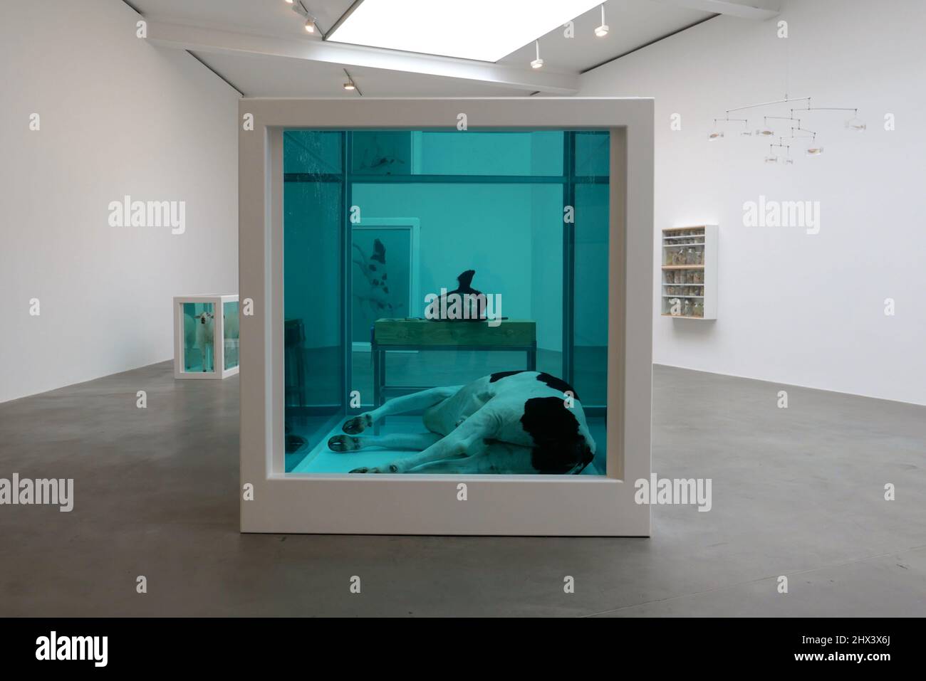 GAGOSIAN DAMIEN HIRST NATURAL HISTORY OPENING 10 MARCH 2022 . Damien ...