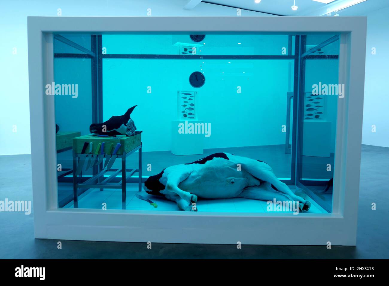 GAGOSIAN DAMIEN HIRST NATURAL HISTORY OPENING 10 MARCH 2022 . Damien ...