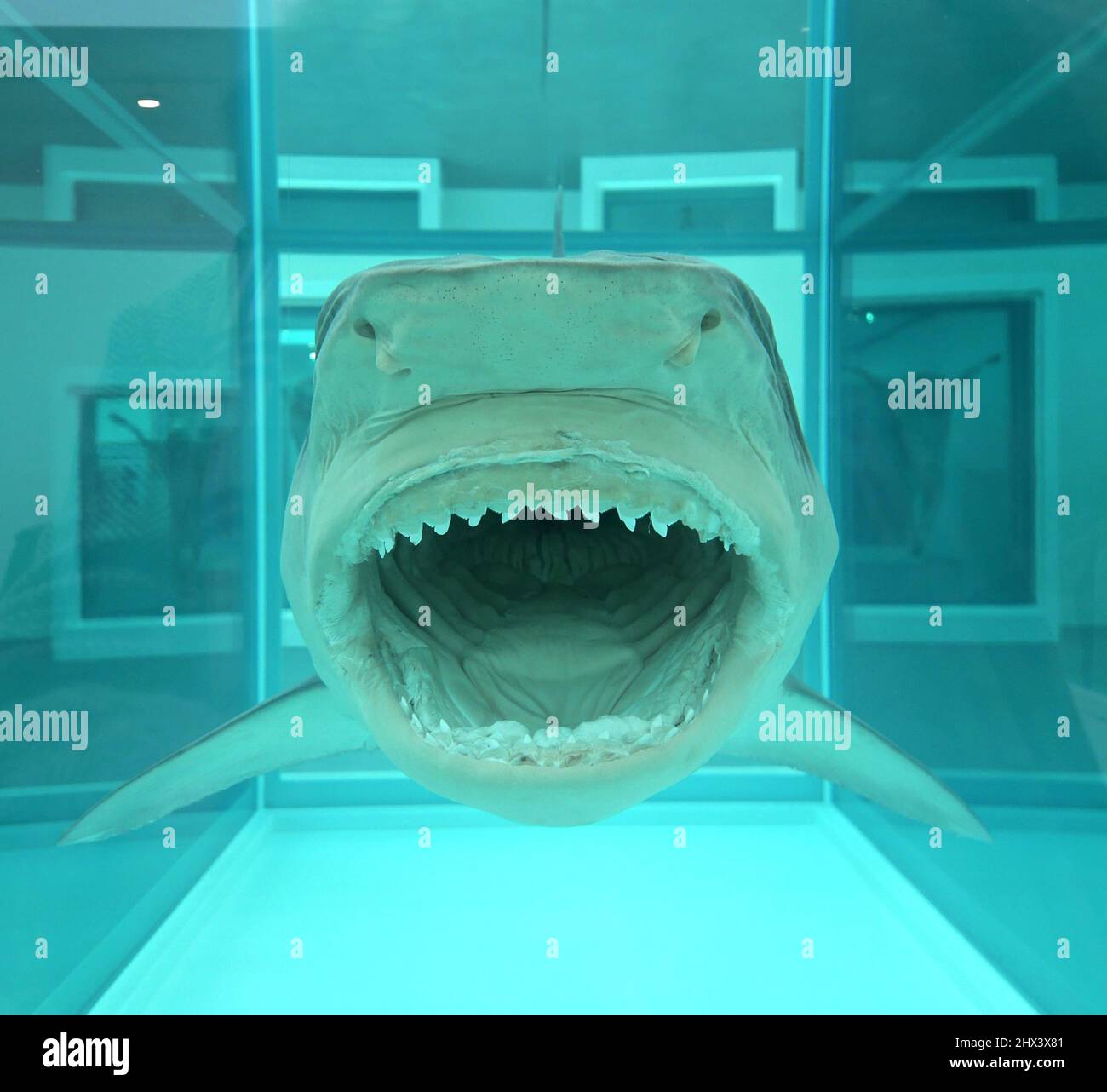 GAGOSIAN DAMIEN HIRST NATURAL HISTORY OPENING 10 MARCH 2022 . Damien ...