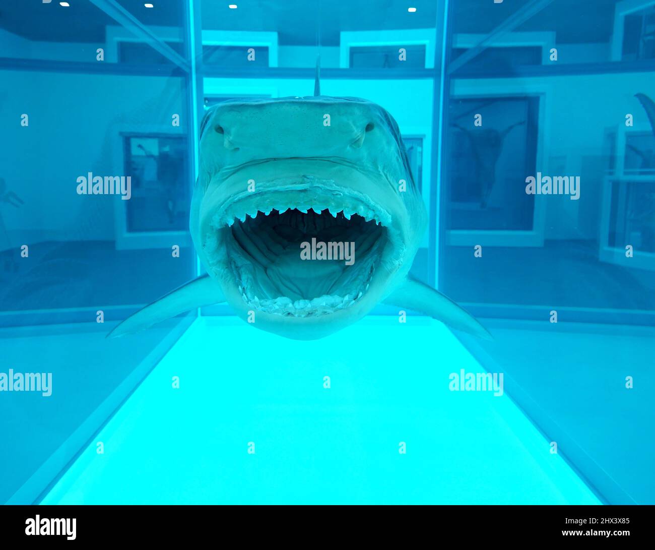 GAGOSIAN DAMIEN HIRST NATURAL HISTORY OPENING 10 MARCH 2022 . Damien ...