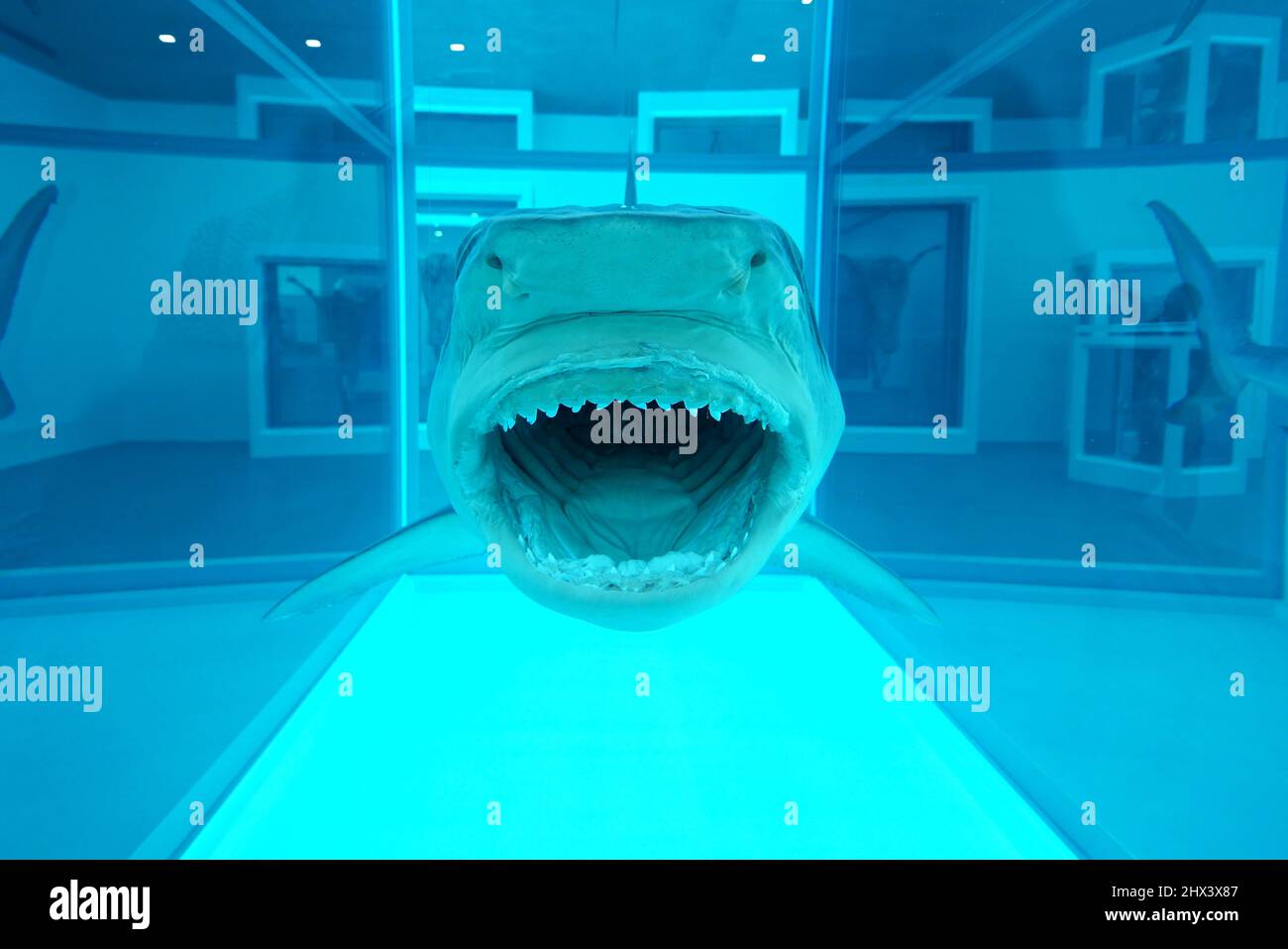 Damien hirst formaldehyde sculptures hi-res stock photography and ...