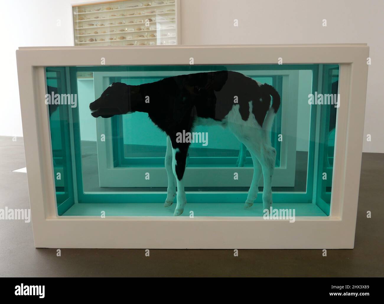 GAGOSIAN DAMIEN HIRST NATURAL HISTORY OPENING 10 MARCH 2022 . Damien ...