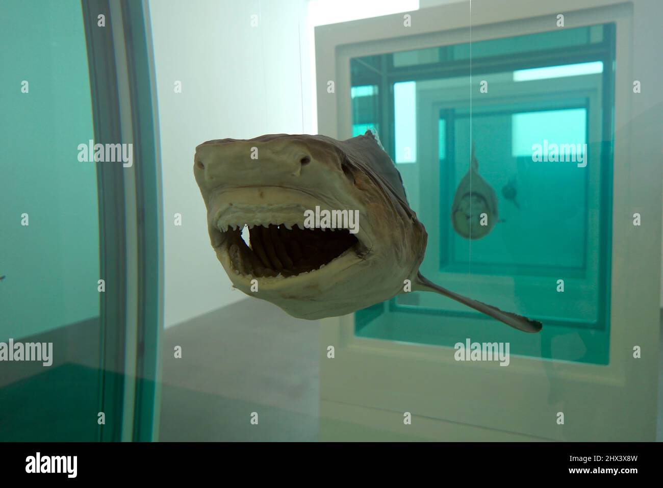 GAGOSIAN DAMIEN HIRST NATURAL HISTORY OPENING 10 MARCH 2022 . Damien ...