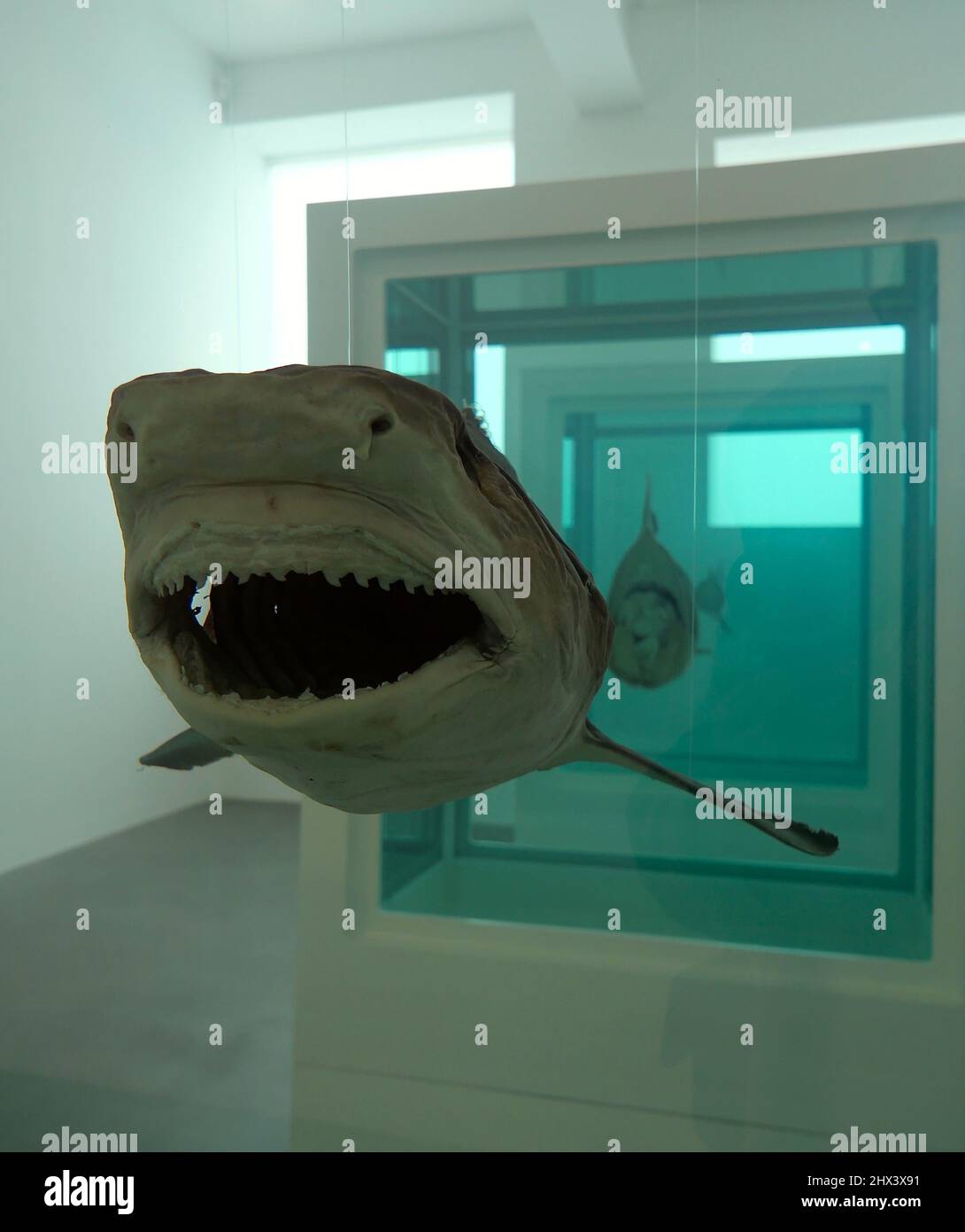 GAGOSIAN DAMIEN HIRST NATURAL HISTORY OPENING 10 MARCH 2022 . Damien ...
