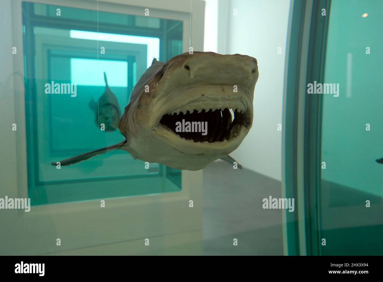 GAGOSIAN DAMIEN HIRST NATURAL HISTORY OPENING 10 MARCH 2022 . Damien ...