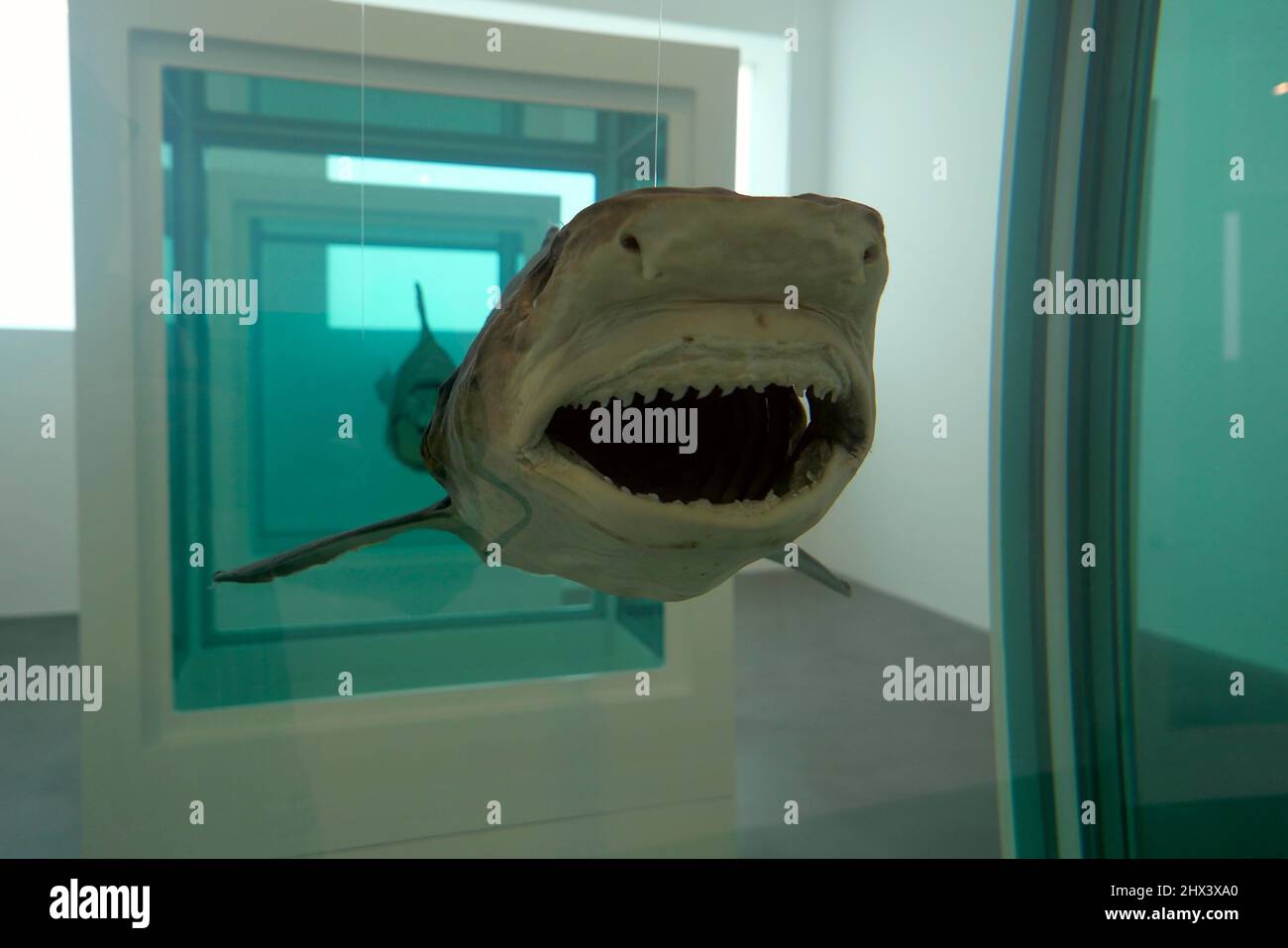 Damien hirst formaldehyde sculptures hi-res stock photography and ...