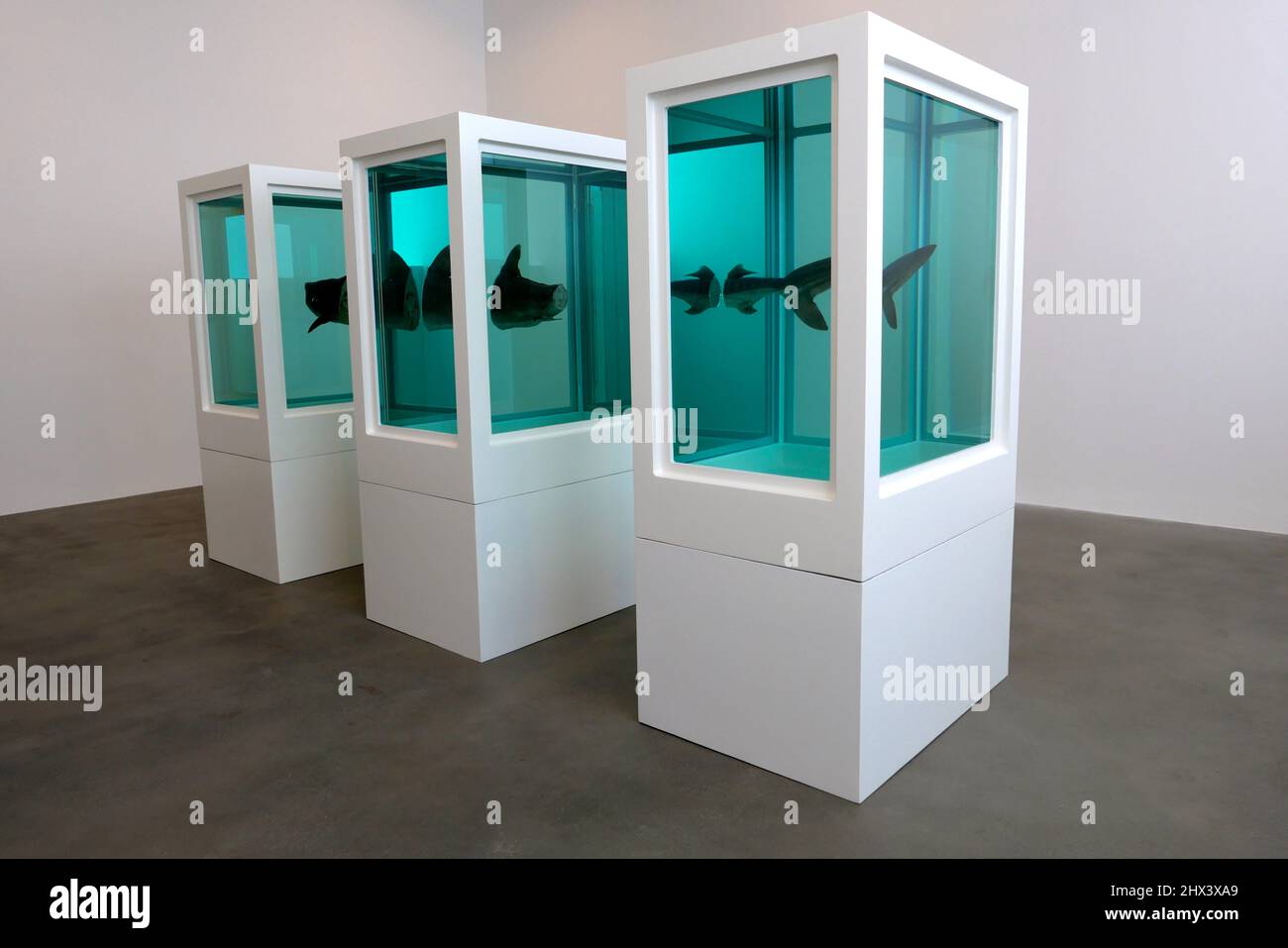 GAGOSIAN DAMIEN HIRST NATURAL HISTORY OPENING 10 MARCH 2022 . Damien ...