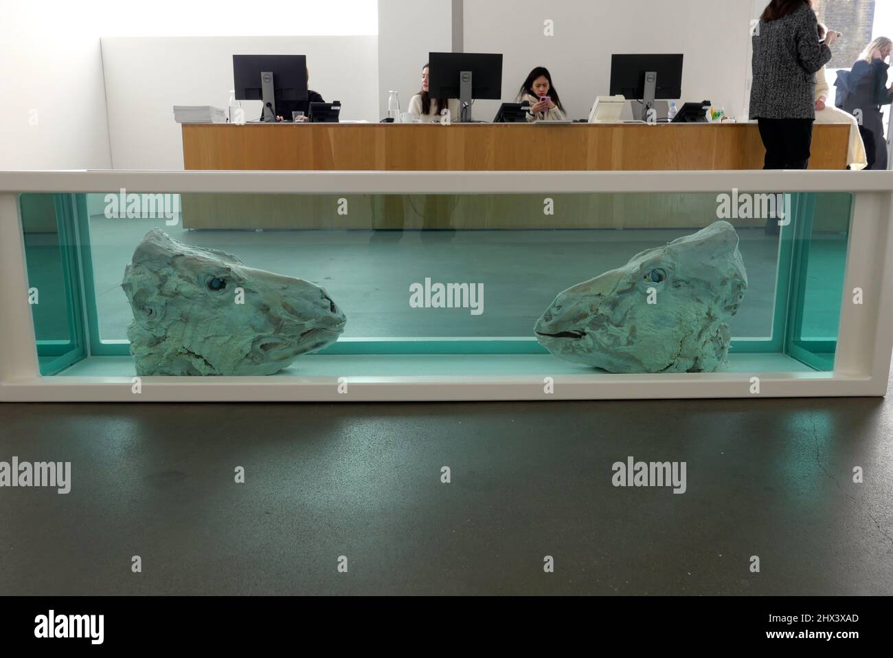 GAGOSIAN DAMIEN HIRST NATURAL HISTORY OPENING 10 MARCH 2022 . Damien ...