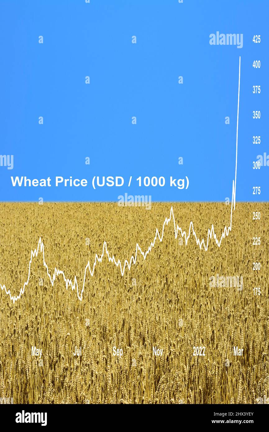 Ukraine. 09 March 2022. Ukraine conflict - Within two weeks of Russia invading Ukraine, wheat prices have risen by almost 50% to reach a 14-year high, putting pressure on world food prices. Wheat production in Ukraine and Russia accounts for 30% of world wheat exports. (Wheat price chart superimposed on an image of a wheat field with a clear blue sky, representing the Ukrainian flag). Credit: Alison Eckett / Alamy Stock Photo