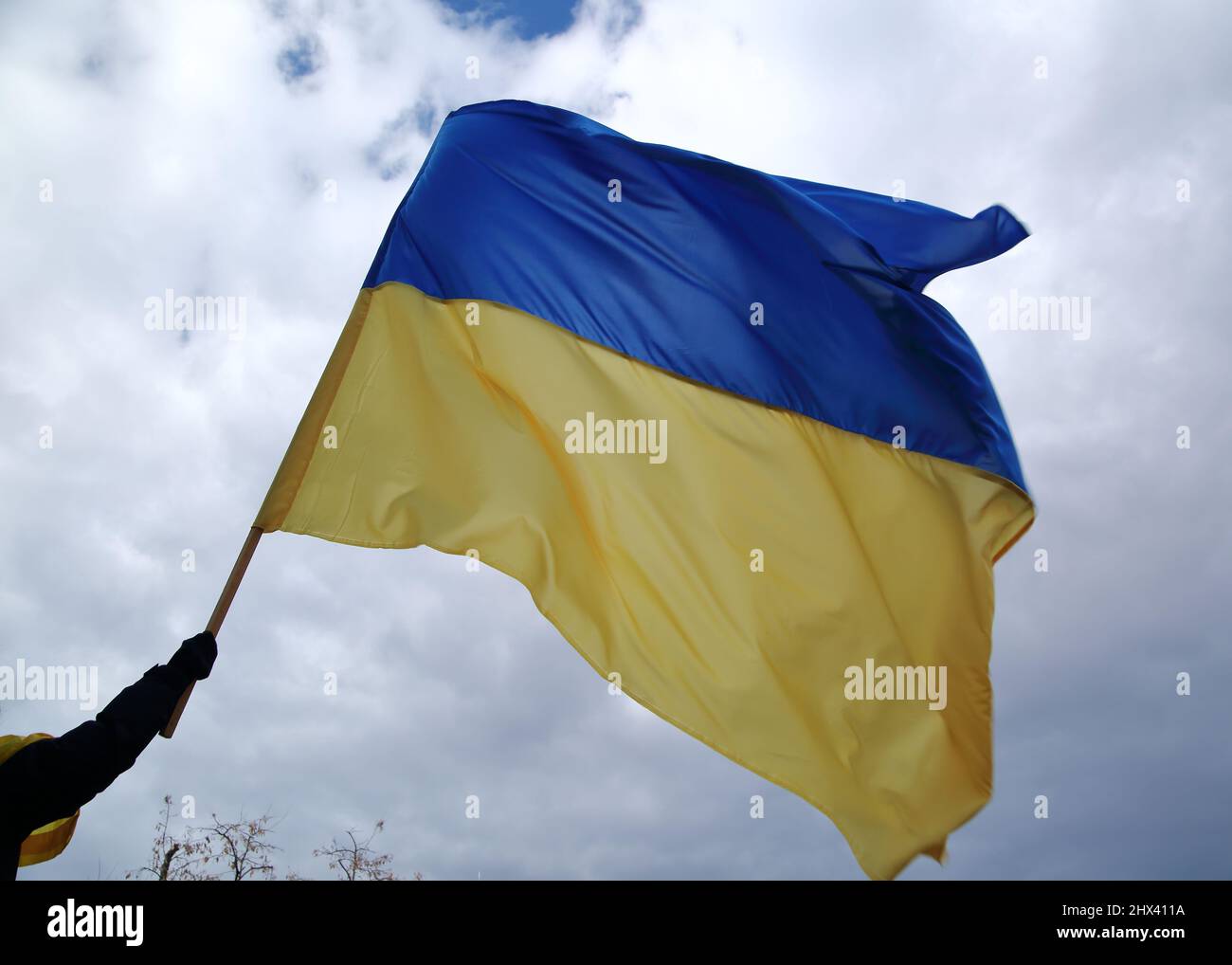 Flag of Ukraine in person hand waves on wind against sky Stock Photo
