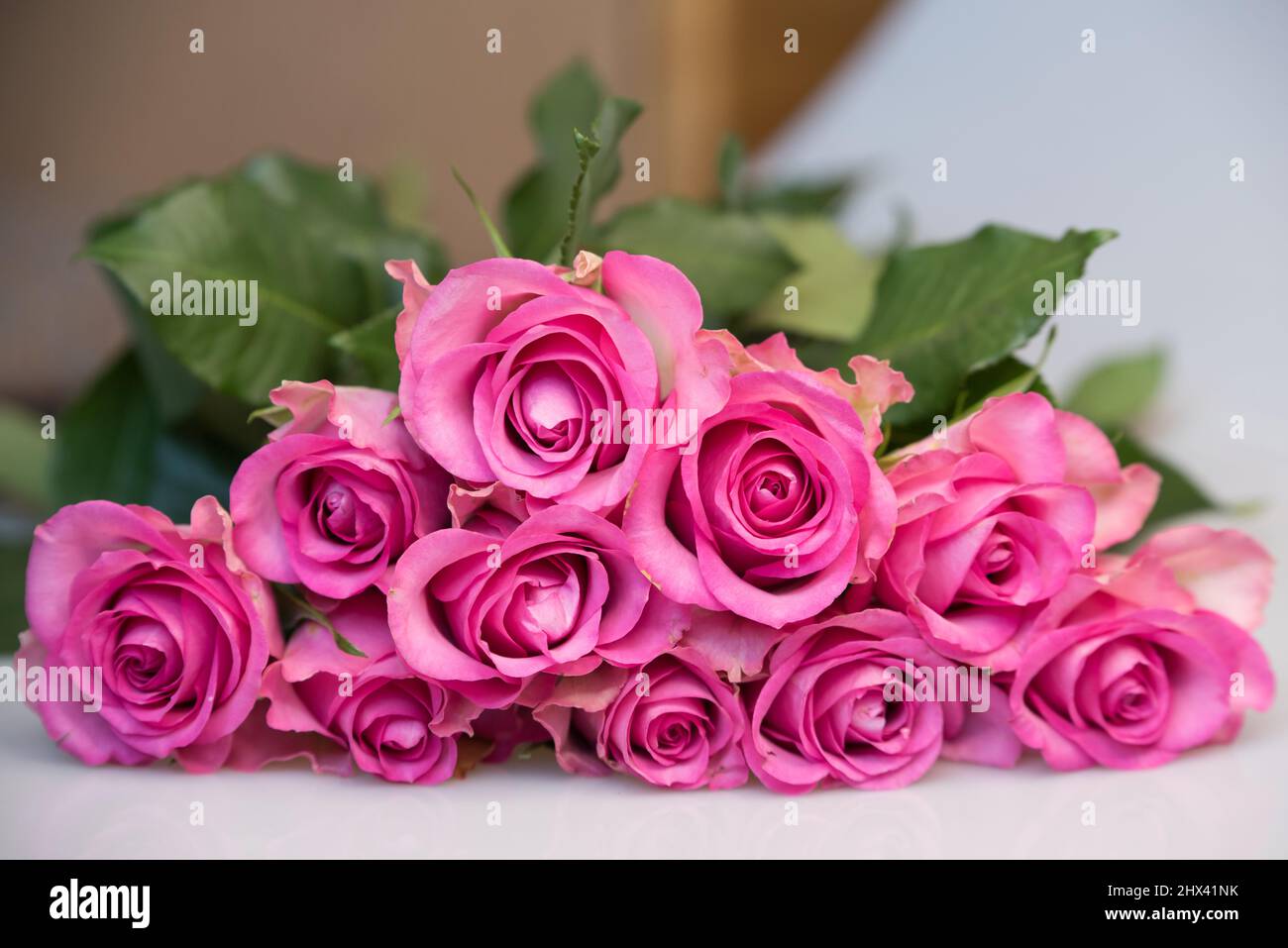 Bouquet of pink roses on white background. Flower background ...